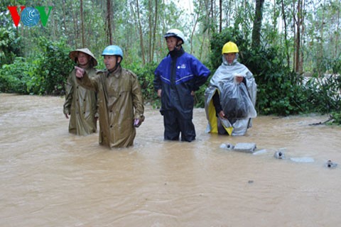 3 killed and 31 injured by typhoon Wutip - ảnh 2
